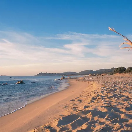 Stunning In Olia Speciosa