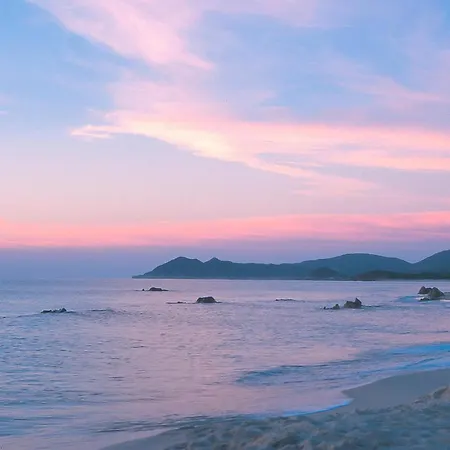 Apartment Stunning In